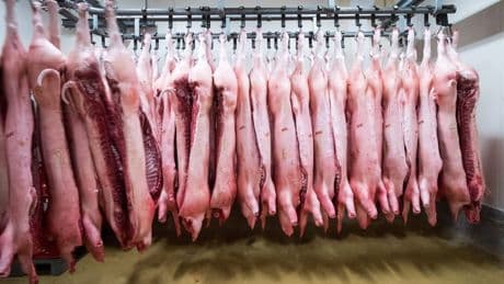 China verhängt Zölle auf Schweinefleisch aus der EU
