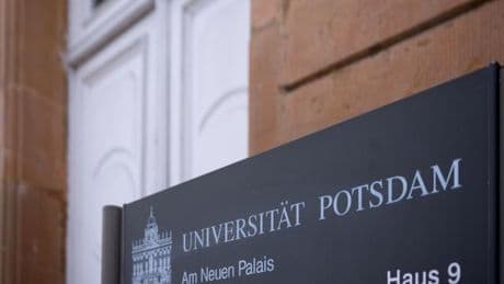 Studieren in den USA: Visa-Pläne der US-Regierung verunsichern Studierende