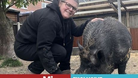 Neighbours in bitter war of words over 'loud and smelly' pet pig