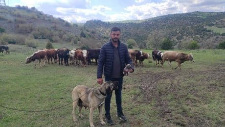 Sosyal medyada linç edilmişti, o köpeğin sahibi konuştu