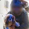 Pet dog kidnapped by Hamas on October 7 is rescued in Gaza: Billy the Cavalier King Charles's owners praise 'miracle' as she is returned to Israel
