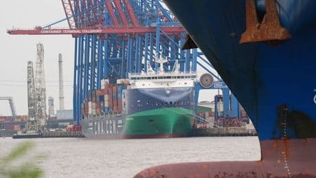 Handelsdeal mit den USA: „Die EU hat sich deutlich kleiner gemacht, als sie ist“