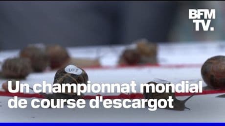 L'Angleterre a accueilli un championnat mondial de course d'escargot