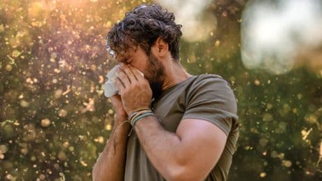 Gefährliche Überraschung im Garten: Was Allergiker unbedingt entfernen sollten