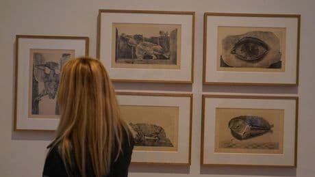 El Bellas Artes presenta 34 obras que se suman a la exposición de Max Ernst