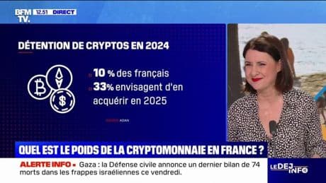 Quel est le poids de la cryptomonnaie en France?