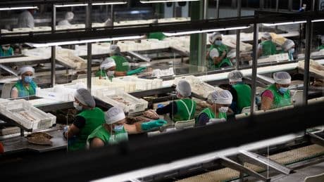 Hacienda rebajará el impuesto de sociedades en 2.000 millones para fomentar que las empresas refuercen su capital