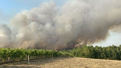 En Charente, l’incendie qui a brûlé 230 hectares et conduit à plusieurs évacuations est « maîtrisé », selon la préfecture