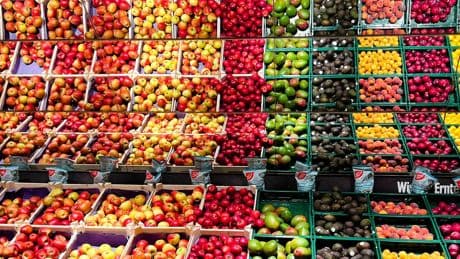 Sparen bei Lebensmitteln: Lohnen sich Discounter, Treuepunkte-Apps und Co?