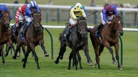 Saturday ITV Haydock Racing tips from The Scout with 10-1 outsider backed for glory