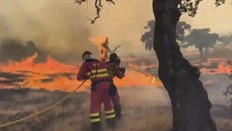 El PP acusa al Gobierno del "fracaso" del sistema de Protección Civil en los incendios y el PSOE responde: "Su obsesión es Sánchez"