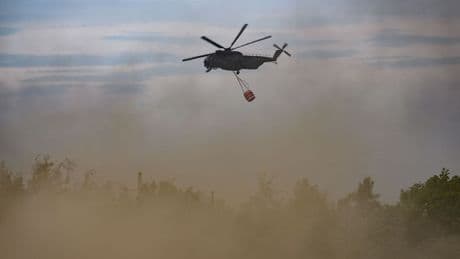 Wetterausblick: Waldbrandlage in Brandenburg stabil - keine Entwarnung
