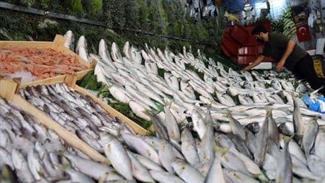 Uzmanlar açıkladı: İşte Türkiye'de yenilebilecek en sağlıklı balık türü