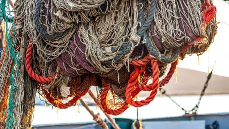 Government facing increasing pressure to ban bottom trawling in protected areas