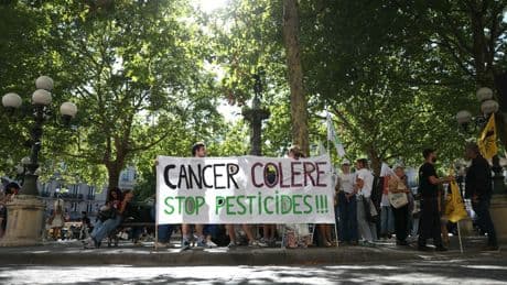 Santé et biodiversité : l’État condamné à revoir les autorisations de pesticides