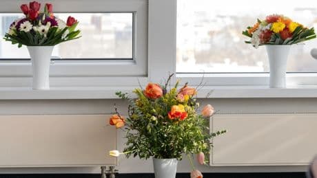 Geht doch: Gib den Blumen Zucker
