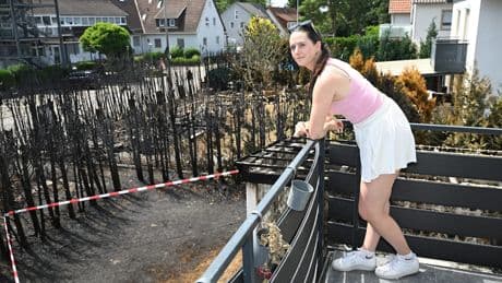 Mit ein paar Steaks fing es an ... - Die Nachbarn haben unseren Garten gegrillt