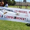 PODCAST. Le retour d'un pesticide retoqué, le futur de Gaza et South Park appuie là où ça fait mal : ça dit quoi ce 8 août ?