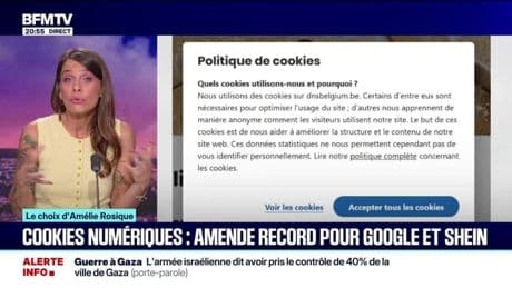 LE CHOIX D'AMÉLIE - Cookies numériques: amende record pour Google et Shein