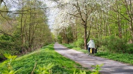 Neue Serie „Hauptstadtwanderer“ – Auf dem Jakobsweg nach Pankow