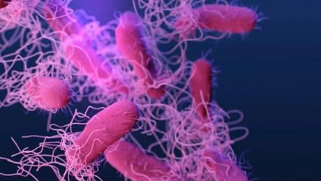 ABD'de salmonella alarmı: 7 kişi hastaneye kaldırıldı