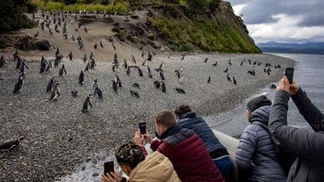Ushuaia, la ville du “bout du monde” victime de son succès touristique