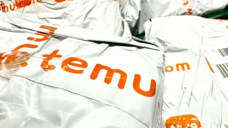Temu stops shipments from China as Trump axes trade loophole