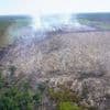 Waldbrände: Waldbrandschutzbeauftragter: Brauchen dringend Ehrenamtliche