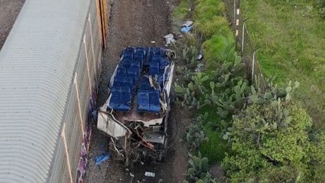 Ten dead after freight train smashes into bus making last-second crossing