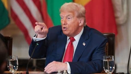 Trump taps "alpha male" MAGA influencer as ambassador