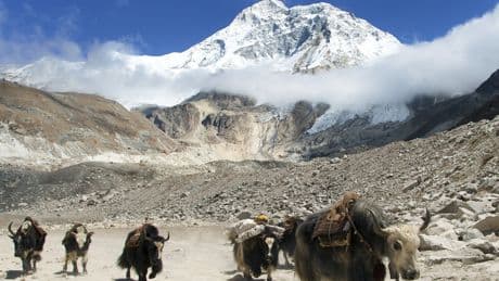 Al menos cuatro muertos y decenas de desaparecidos por una avalancha súbita en el Himalaya
