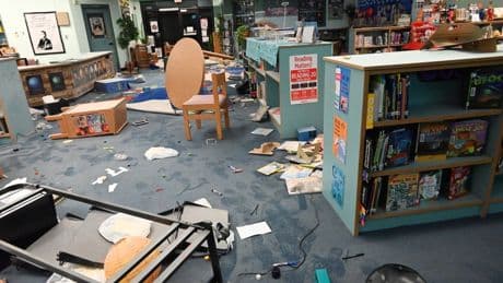 Two boys who caused $50,000 worth of damage to an elementary school library turned in by their moms, police say