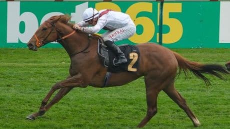 Royal Ascot horse Harry's Girl dies after tragedy seconds into opening race
