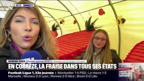 Fraises: quelle variété choisir ?