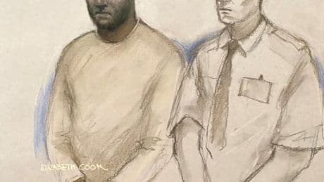 Epping hotel migrant, 41, ‘tried to kiss girl, 14, and said he wanted her baby’ – sparking mass protests across UK