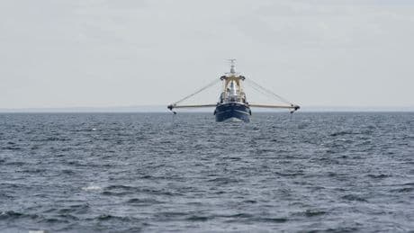 Ministers accused of ‘still breaking the law’ over fishing licences