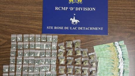 Teen driver arrested, facing drug charge after Manitoba traffic stop, RCMP say