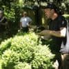 Foires aux plantes, marche de printemps, fête de la nature… Douze sorties autour du jardin en mai