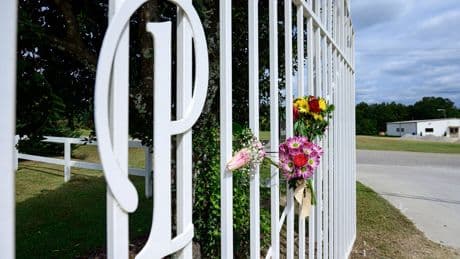 Police say man killed retired Auburn University professor at a public park