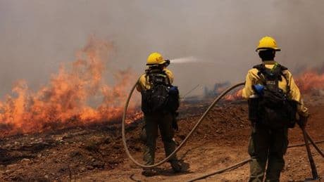 Incendie en Californie : les pompiers progressent face au Madre Fire, plus de 32 500 hectares déjà ravagés
