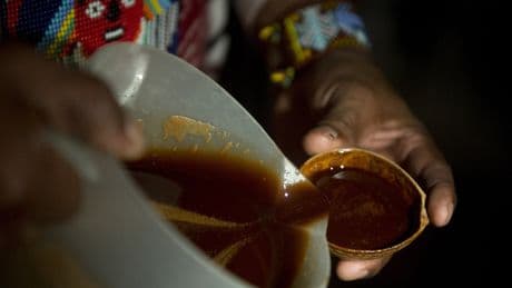Exclusive: Aspiring CBP officer sues after being rejected over ‘religious’ ayahuasca tea use