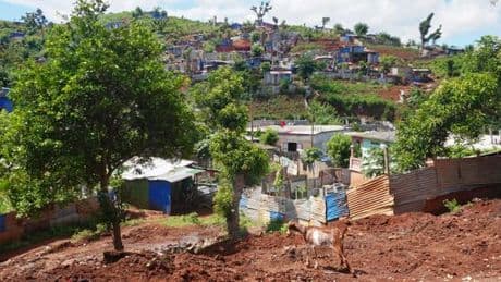 Paludisme : douze cas autochtones à Mayotte depuis le début de l’année, une première en cinq ans