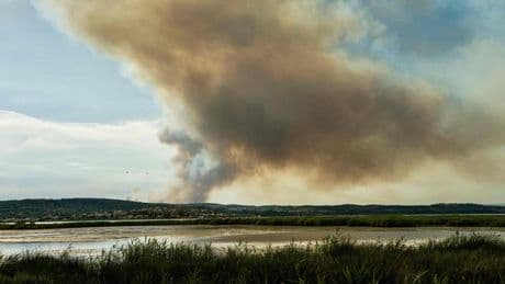 Waldbrände: Mehrere große Waldbrände in Südfrankreich