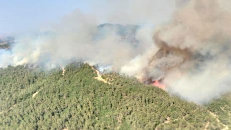 Balıkesir'deki orman yangınına müdahale sürüyor