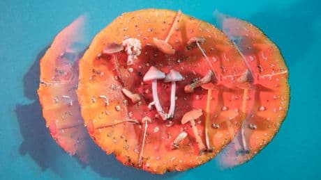 Prendre des drogues psychédéliques avec ChatGPT, le nouveau concept qui inquiète les spécialistes