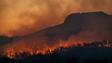 Incendi in Grecia, fiamme a 30 chilometri da Atene: case distrutte, abitanti evacuati, sei pompieri feriti