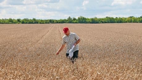 Subventionen für Bauern: Wenn Brüssel die Sense ansetzt