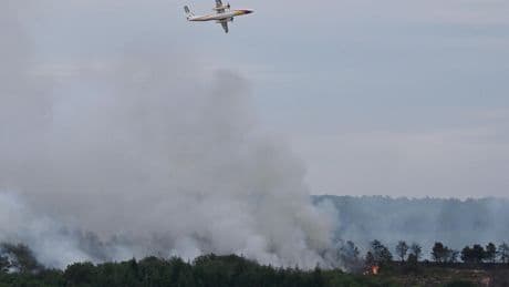 Bretagne : l’incendie dans la forêt de Brocéliande est fixé
