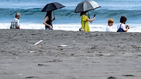 Why was the Pacific tsunami smaller than expected? A geologist explains