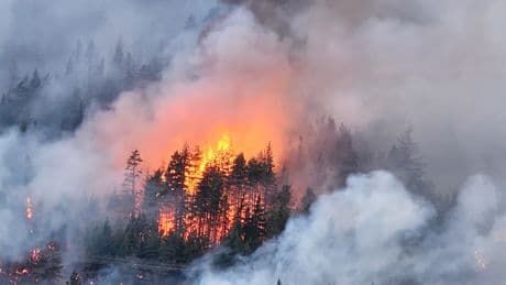 Lytton First Nation issues wildfire evacuation orders for 2 reserves
